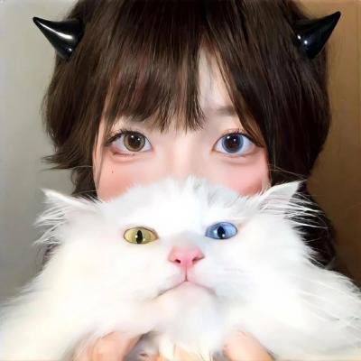 吸血鬼猎人